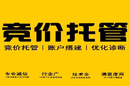 实战经验分享：SEO与SEM优化案例精选